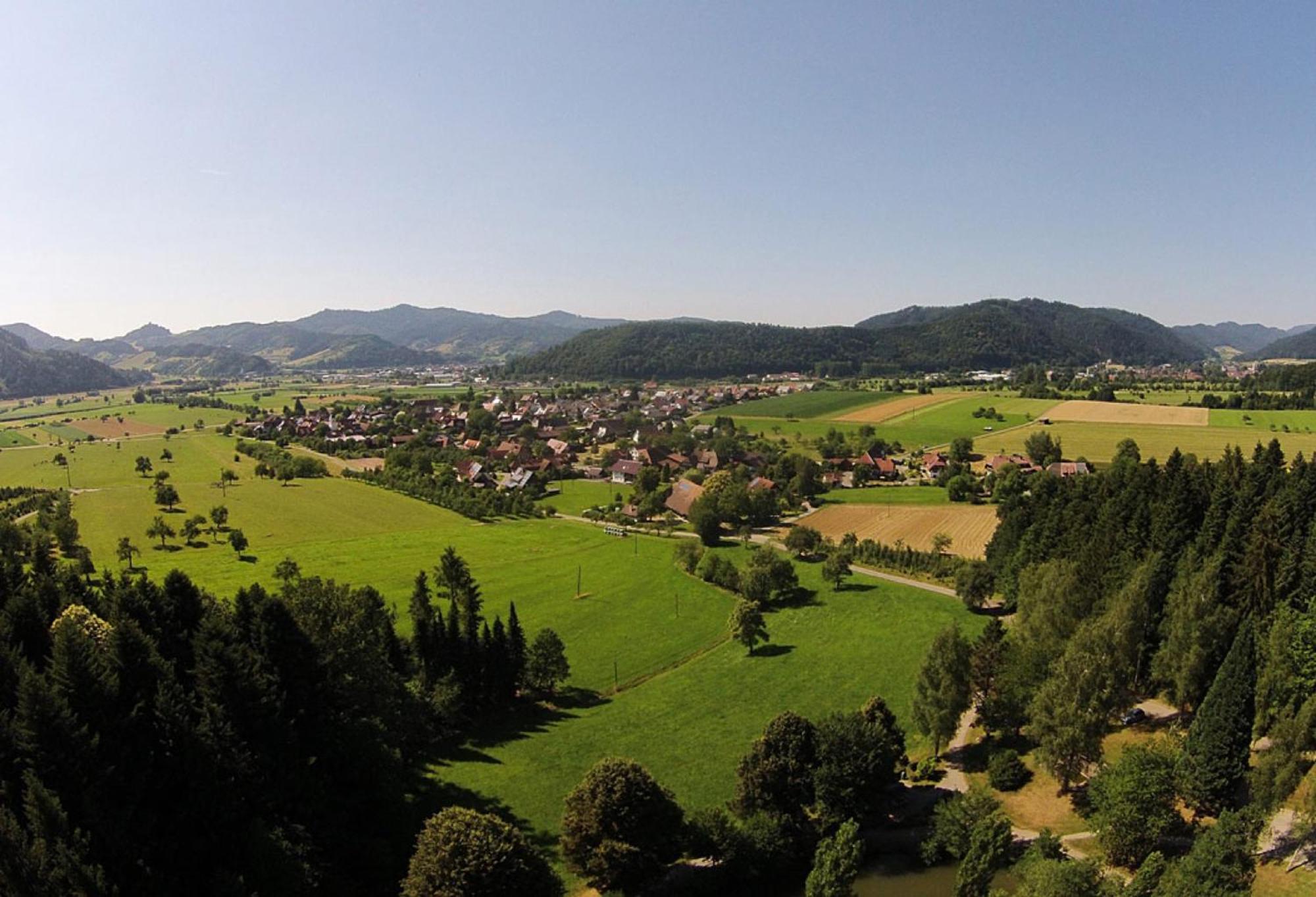 Haus Irmgard Apartment Zell am Harmersbach Luaran gambar